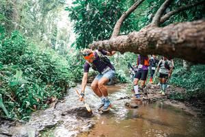 BIB: 
                            <button type="button" onclick="openModal(25375709)" class="btn btn-primary btn-sm float-right btn-popup" data-toggle="modal" data-target=".modal-high-quality">
                        <i class="fas fa-shopping-cart"></i> Add to Cart
                    </button>
                                            <button type="button" onclick="isThisMe(25375709, true)" class="btn btn-success btn-sm float-right btn-popup btn-isme hidden" data-toggle="tooltip" data-placement="bottom" title="นี่คือรูปของคุณใช่ไหม คลิกที่นี่เพื่อเอาเข้าอัลบั้ม">
                        <i class="fas fa-plus"></i> Add to album
                    </button>
                    <button type="button" onclick="isThisMe(25375709, false)" class="btn btn-warning btn-sm float-right btn-popup btn-isnotme hidden">
                        <i class="fas fa-ban"></i> Remove from album
                    </button>